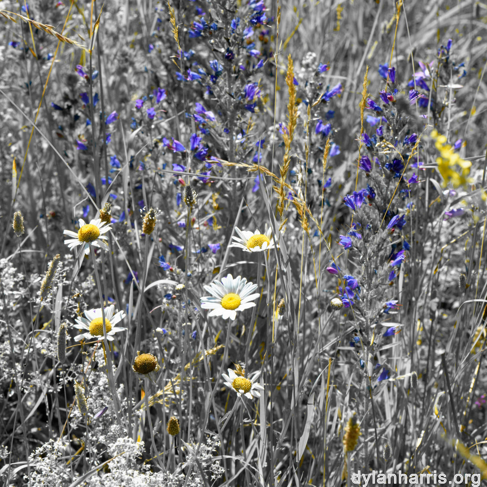 image: This is &lsquo;rumelange 6&rsquo;.