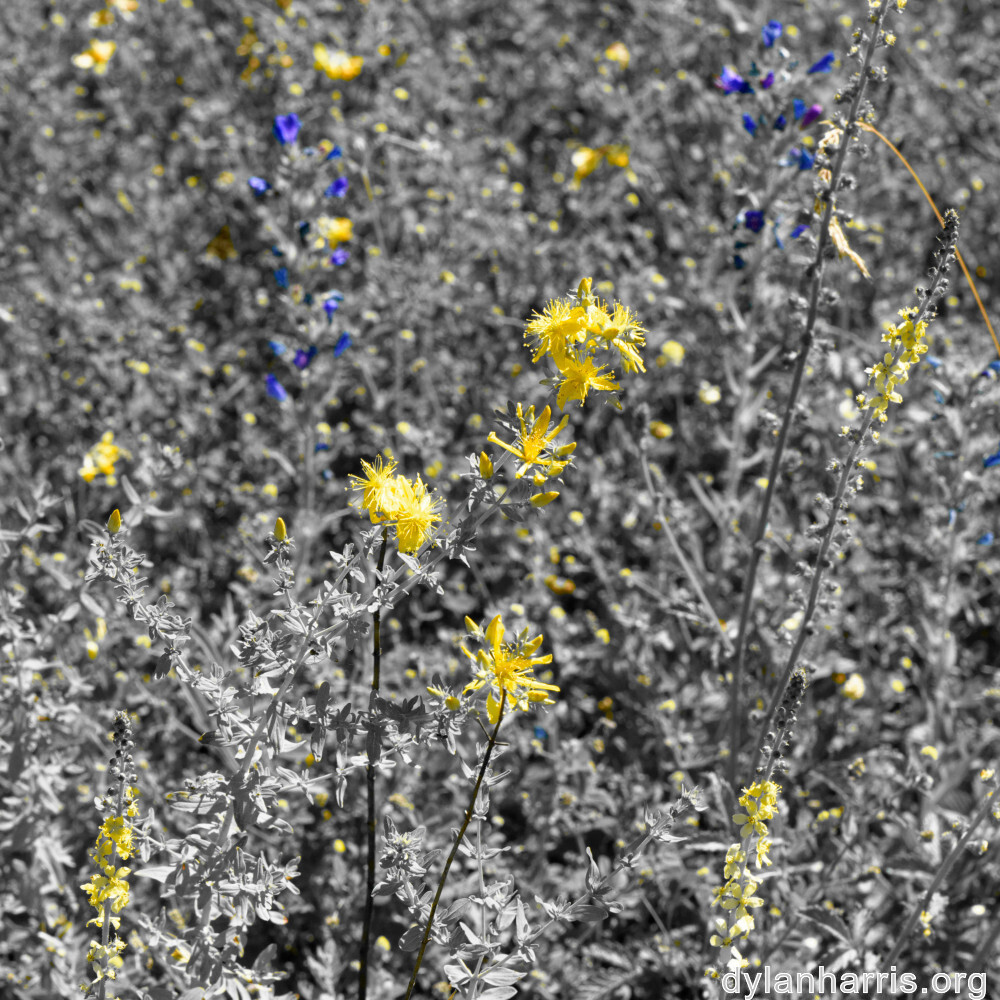 image: This is &lsquo;rumelange 7&rsquo;.