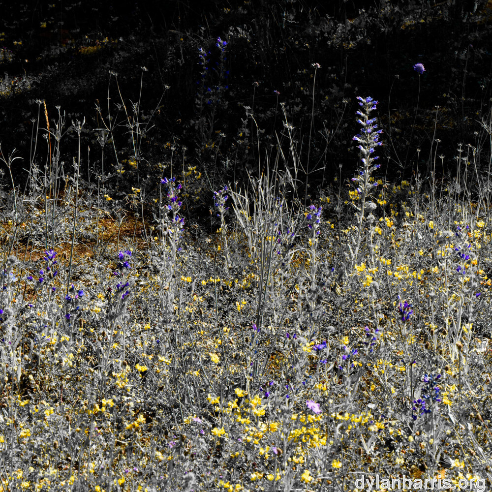 image: This is &lsquo;rumelange 8&rsquo;.