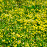 image: Image from the photoset &lsquo;rumelange (vii)&rsquo;.