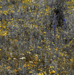 image: Image from the photoset &lsquo;rumelange (vii)&rsquo;.