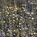 image: Image from the photoset &lsquo;rumelange (vii)&rsquo;.