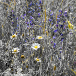 image: Image from the photoset &lsquo;rumelange (vii)&rsquo;.