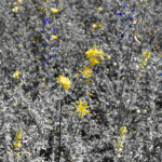 image: Image from the photoset &lsquo;rumelange (vii)&rsquo;.