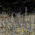 image: Image from the photoset &lsquo;rumelange (vii)&rsquo;.