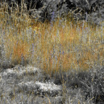 image: Image from the photoset &lsquo;rumelange (vii)&rsquo;.