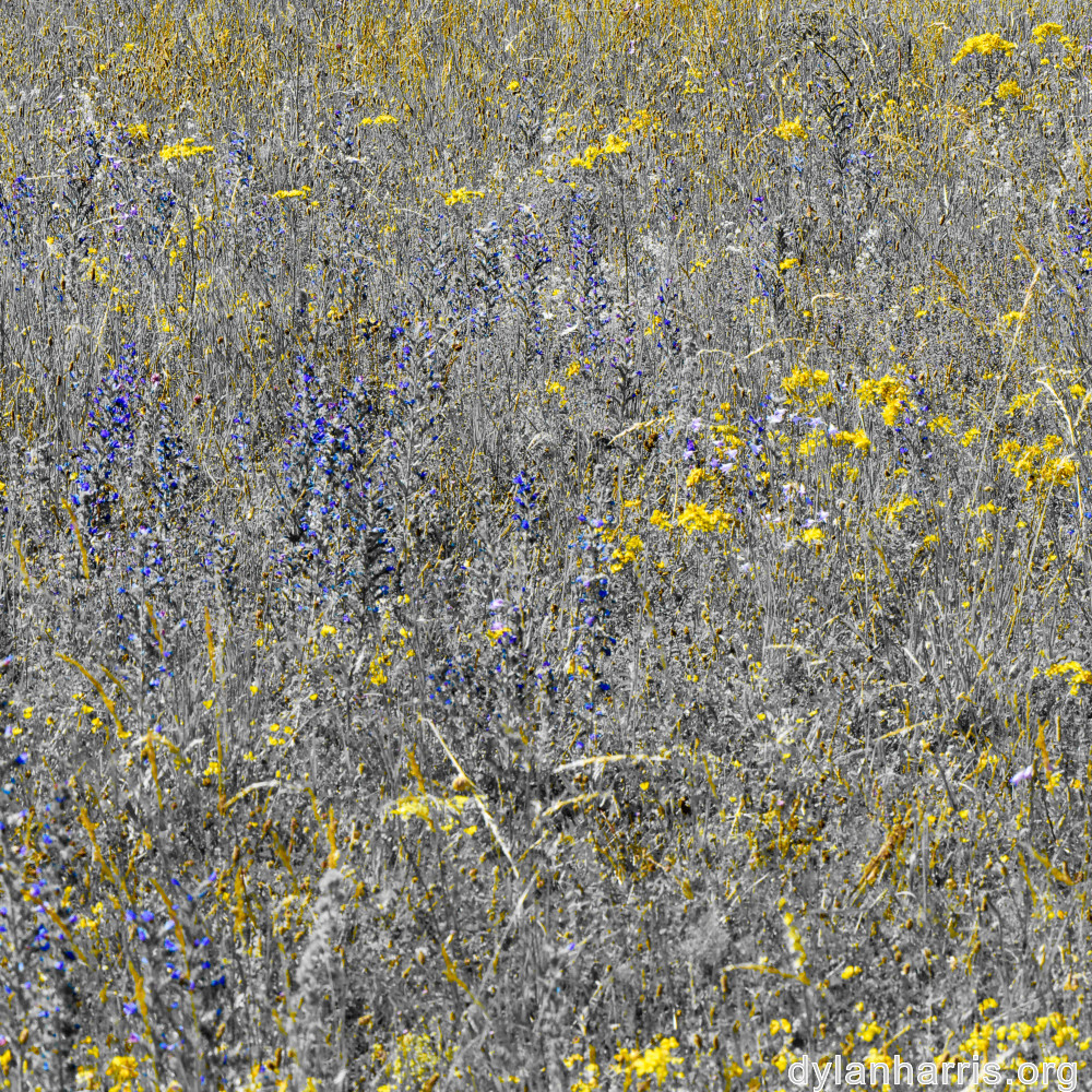 image: This is &lsquo;rumelange 1&rsquo;.