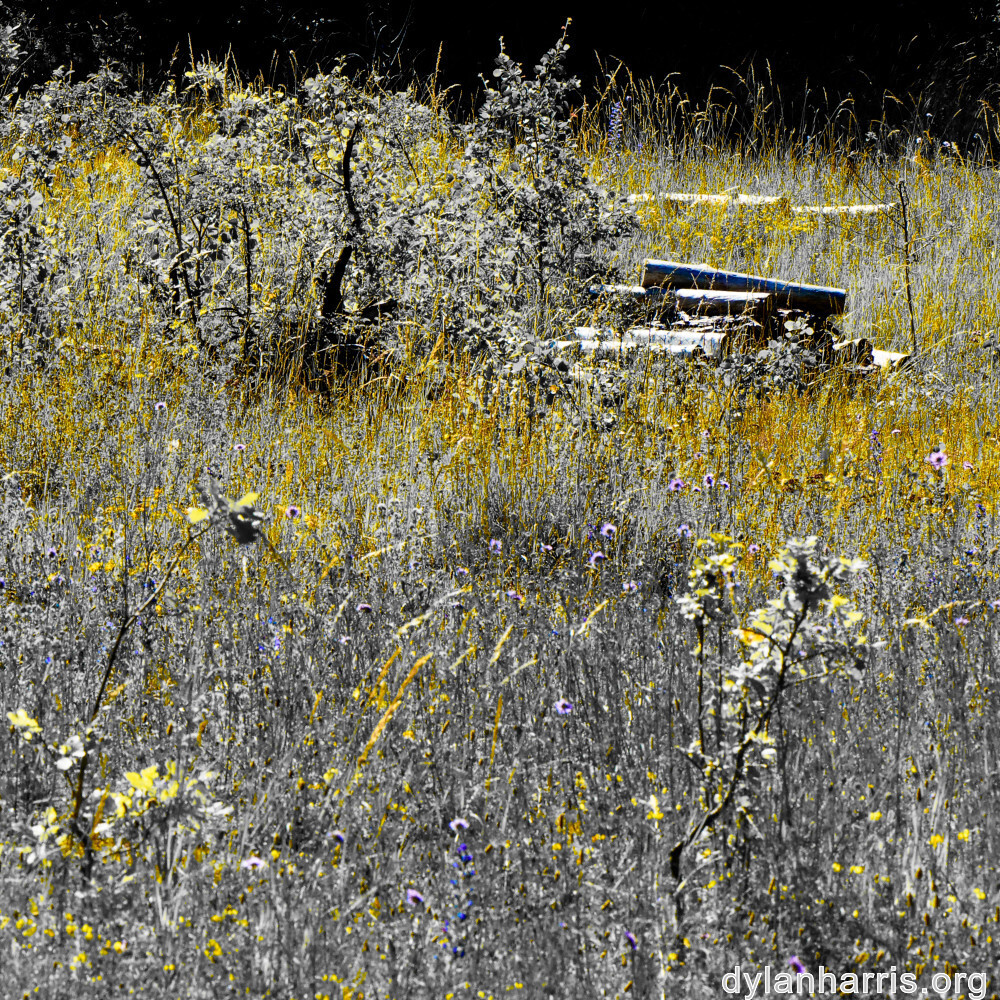 image: This is &lsquo;rumelange 2&rsquo;.