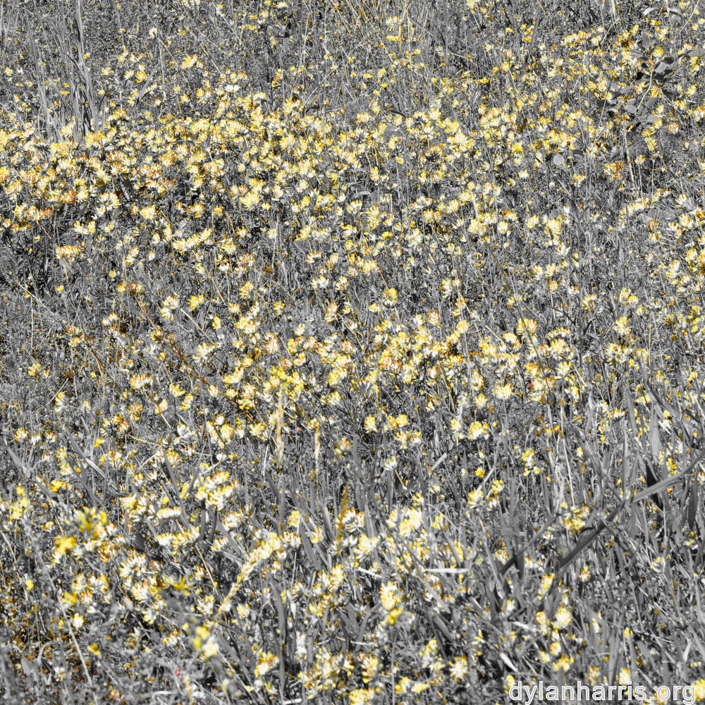 image: This is &lsquo;rumelange 4&rsquo;.