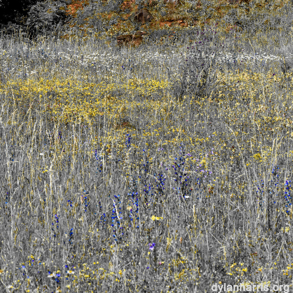 image: This is &lsquo;rumelange 6&rsquo;.