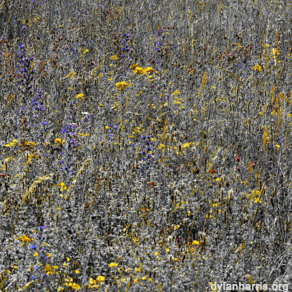 image: This is &lsquo;rumelange 7&rsquo;.