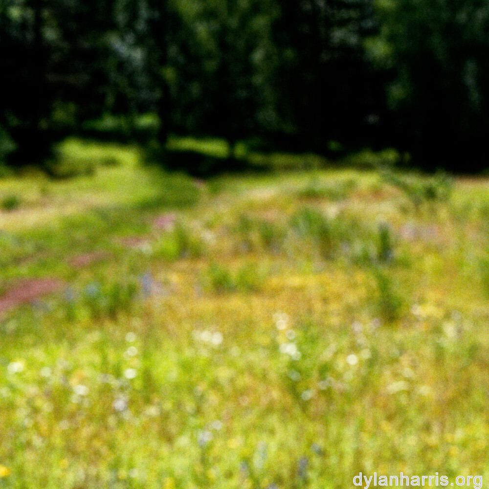 image: This is &lsquo;rumelange 8&rsquo;.