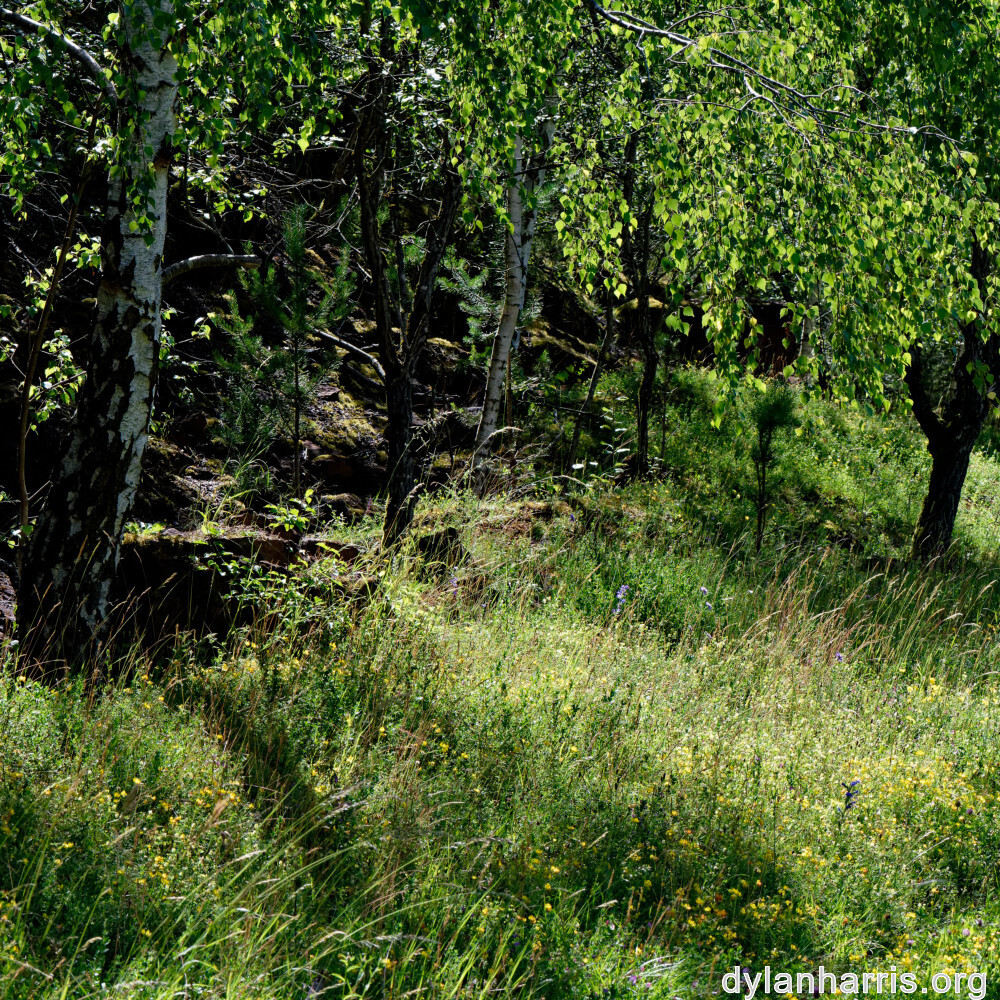 image: This is &lsquo;rumelange 9&rsquo;.