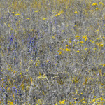 image: Image from the photoset &lsquo;rumelange (viii)&rsquo;.