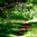 image: Image from the photoset &lsquo;rumelange (viii)&rsquo;.