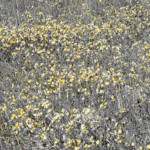 image: Image from the photoset &lsquo;rumelange (viii)&rsquo;.