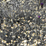 image: Image from the photoset &lsquo;rumelange (viii)&rsquo;.