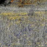 image: Image from the photoset &lsquo;rumelange (viii)&rsquo;.