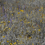 image: Image from the photoset &lsquo;rumelange (viii)&rsquo;.