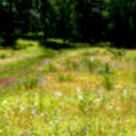 image: Image from the photoset &lsquo;rumelange (viii)&rsquo;.