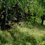 image: Image from the photoset &lsquo;rumelange (viii)&rsquo;.