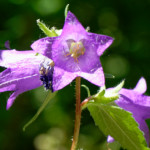 image: Image from the photoset &lsquo;rumelange (x)&rsquo;.