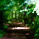 image: Image from the photoset &lsquo;rumelange (x)&rsquo;.