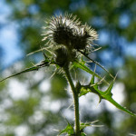 image: Image from the photoset &lsquo;rumelange (x)&rsquo;.