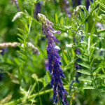 image: Image from the photoset &lsquo;rumelange (x)&rsquo;.