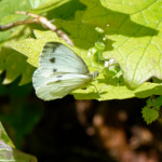 image: Image from the photoset &lsquo;rumelange (x)&rsquo;.