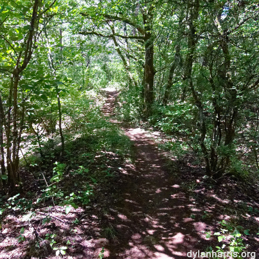 image: This is &lsquo;kayl 1&rsquo;.