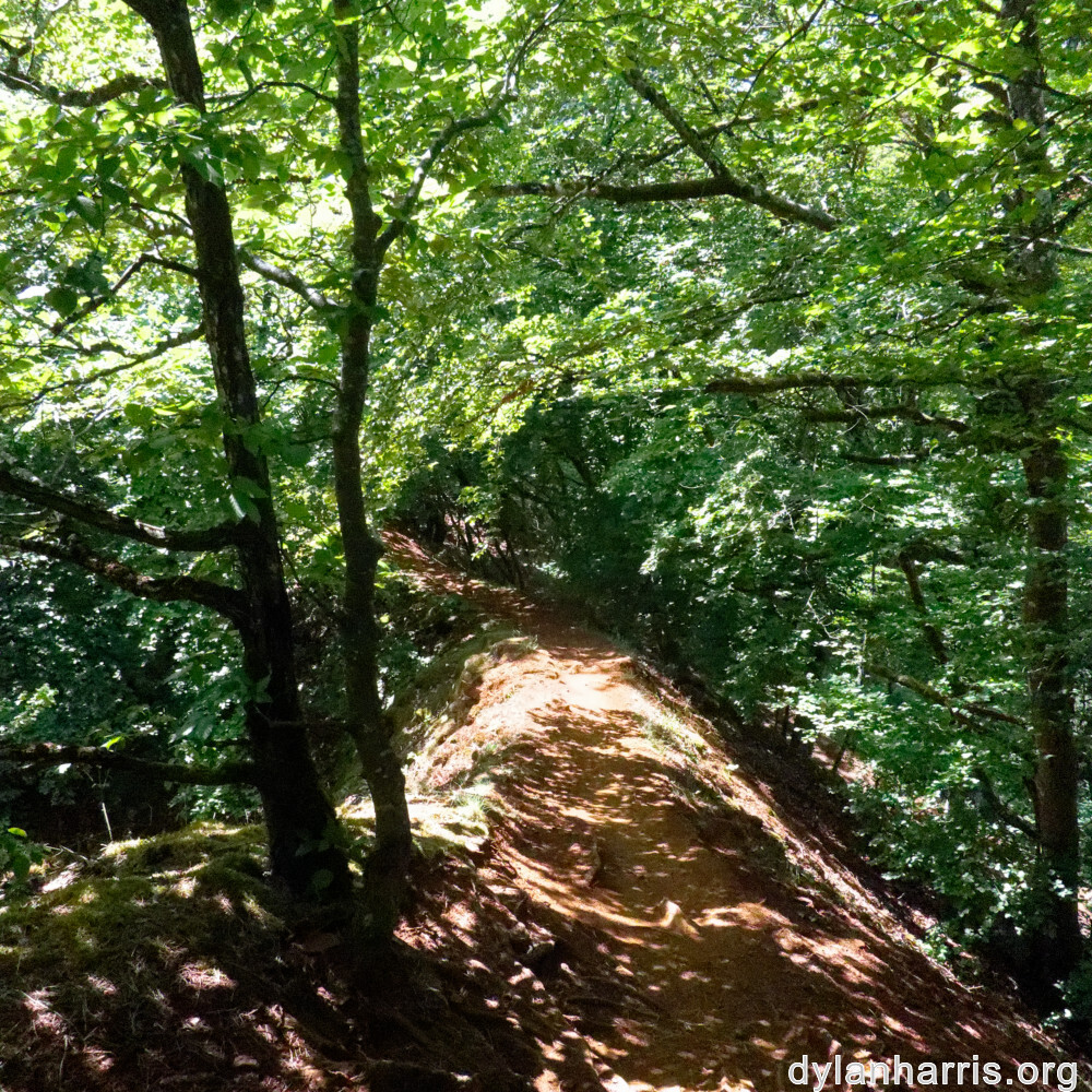 image: This is &lsquo;kayl 2&rsquo;.