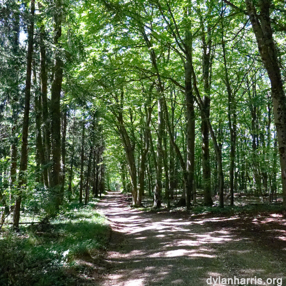 image: This is &lsquo;kayl 4&rsquo;.