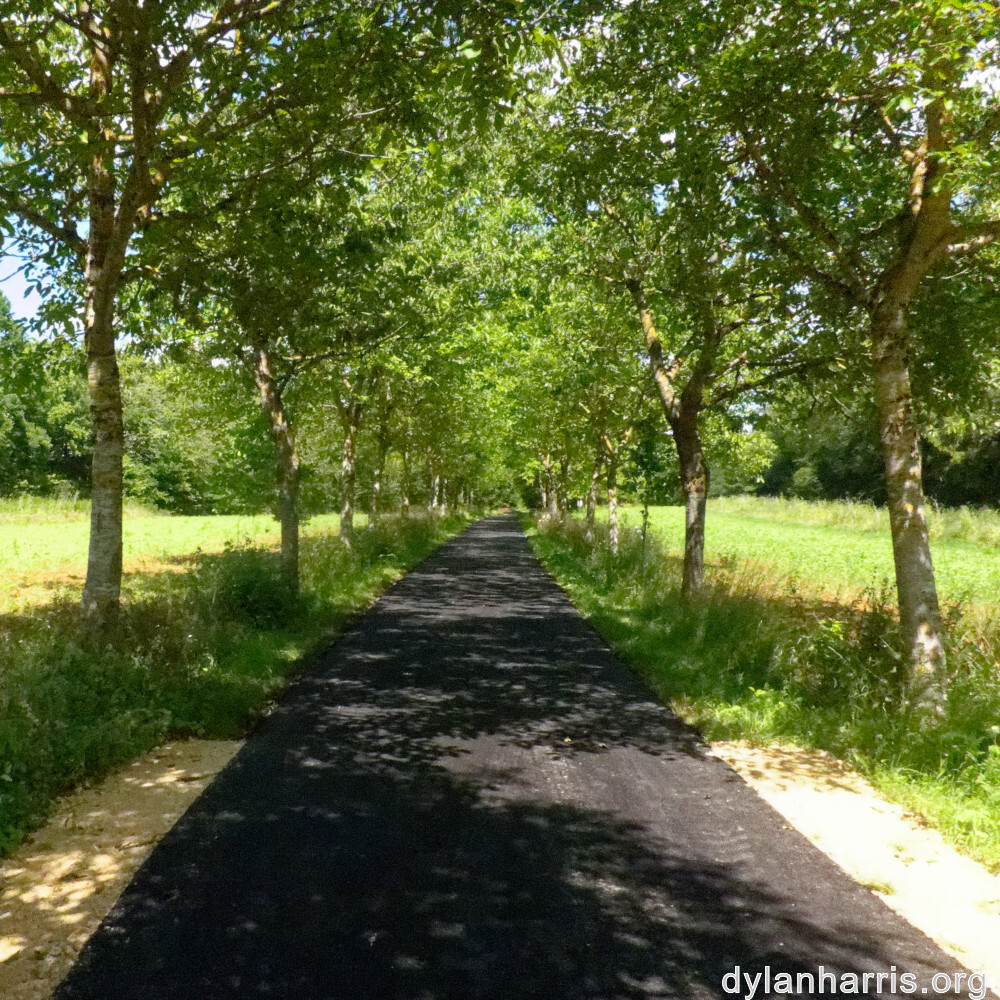 image: This is &lsquo;kayl 5&rsquo;.