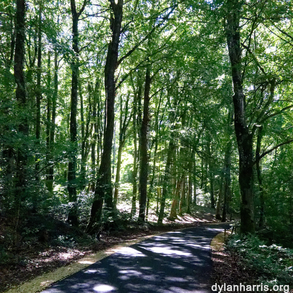 image: This is &lsquo;kayl 6&rsquo;.