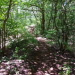 image: Image from the photoset &lsquo;kayl (iv)&rsquo;.