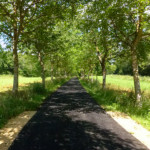 image: Image from the photoset &lsquo;kayl (iv)&rsquo;.