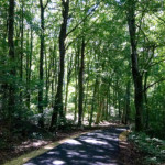 image: kayl (iv) photoset