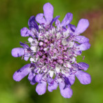 image: Image from the photoset &lsquo;differdange (i)&rsquo;.