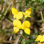 image: Image from the photoset &lsquo;differdange (i)&rsquo;.