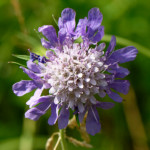 image: Image from the photoset &lsquo;differdange (i)&rsquo;.