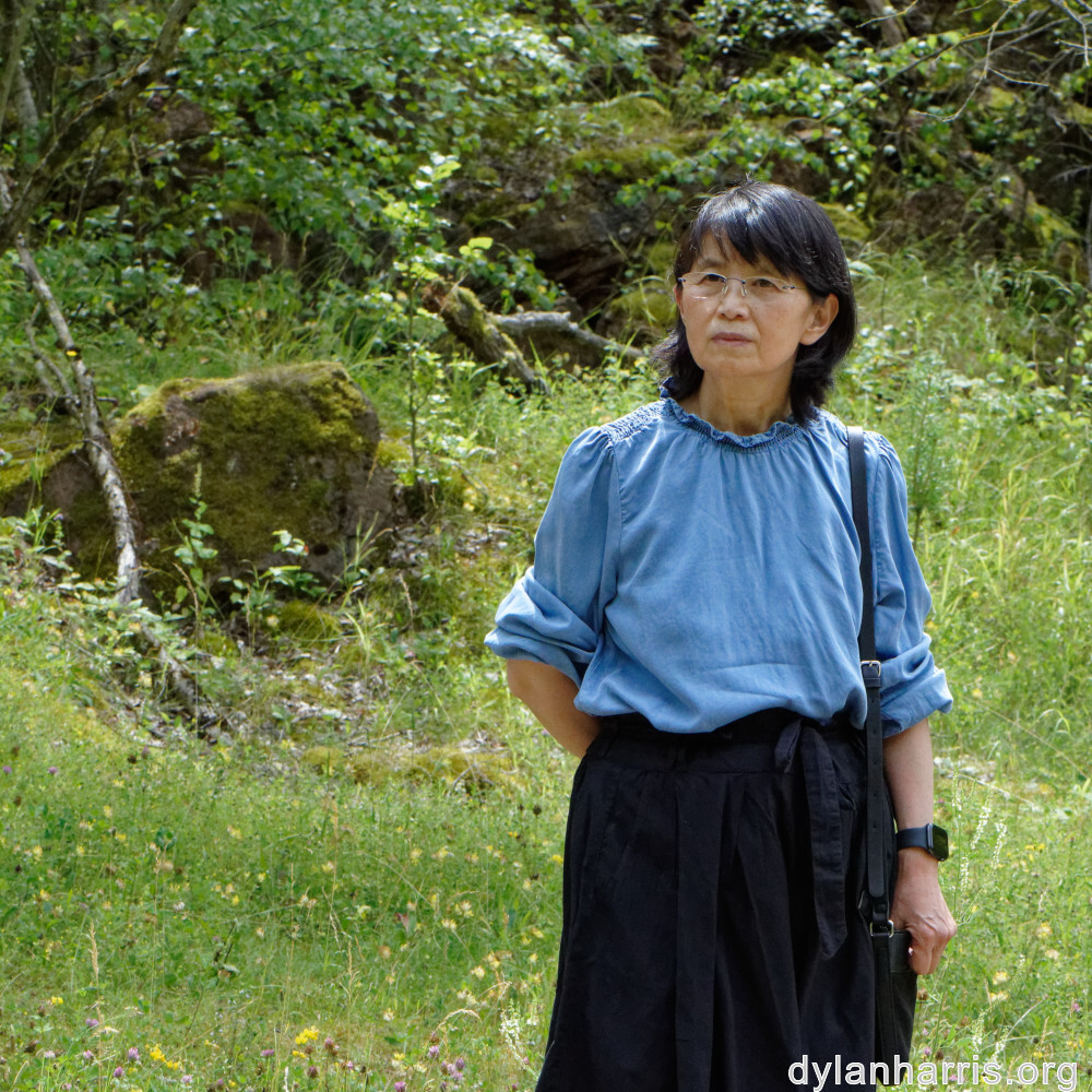 image: This is &lsquo;L (xxxvi) 3&rsquo;.