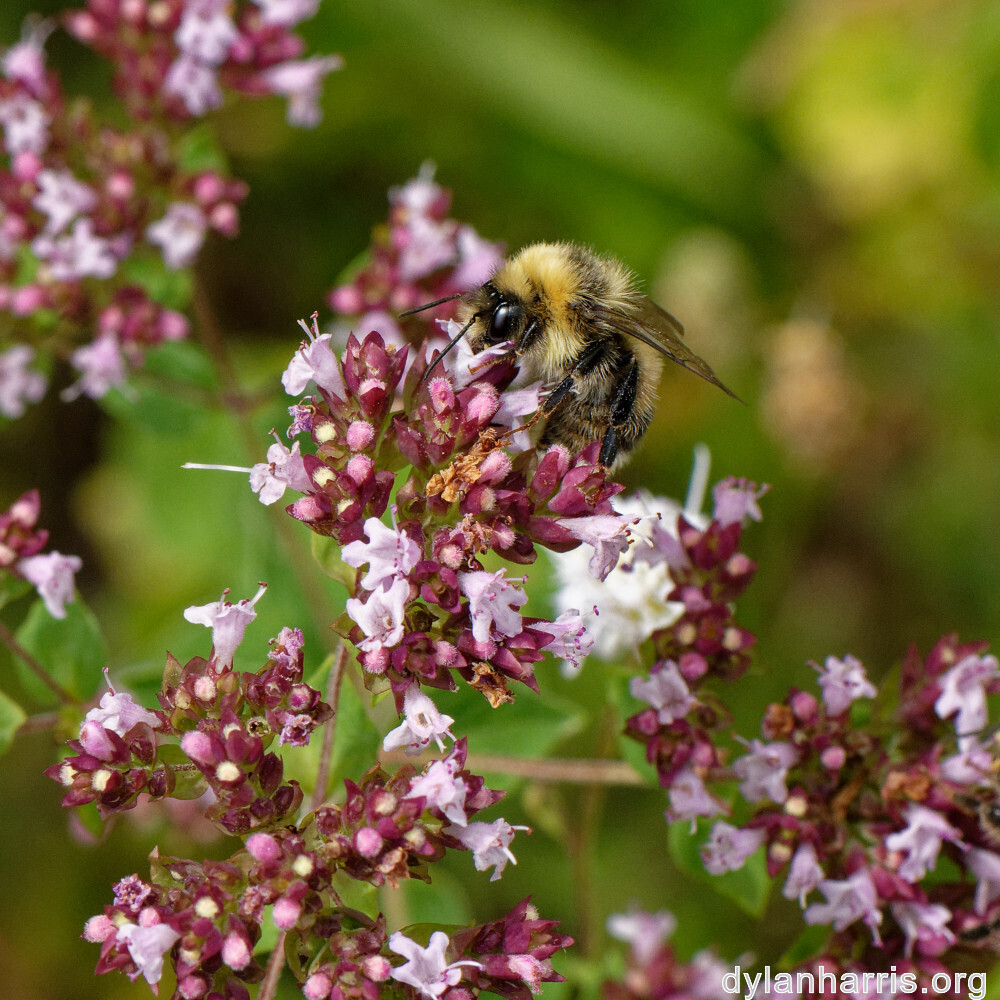 image: This is &lsquo;kayl 1&rsquo;.