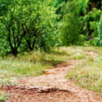 image: Image from the photoset &lsquo;kayl (v)&rsquo;.