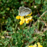 image: Image from the photoset &lsquo;kayl (v)&rsquo;.