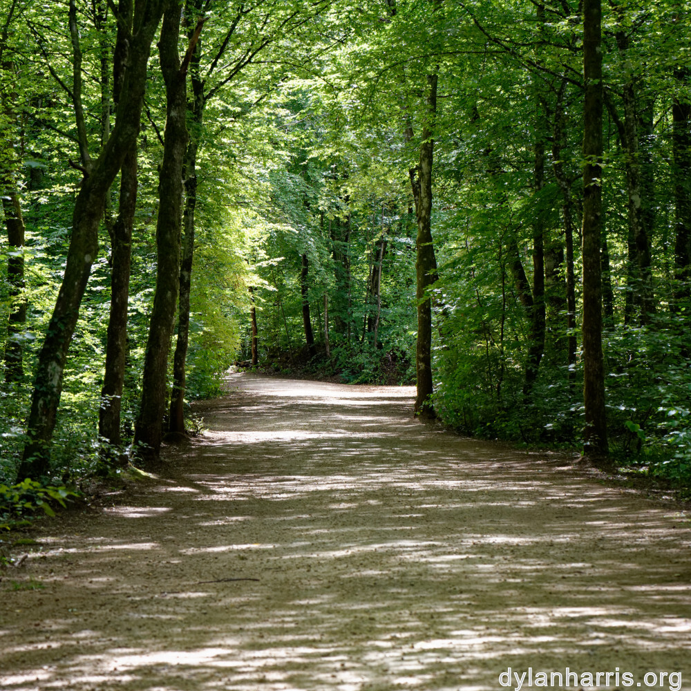 image: This is &lsquo;belvaux (vii) 1&rsquo;.