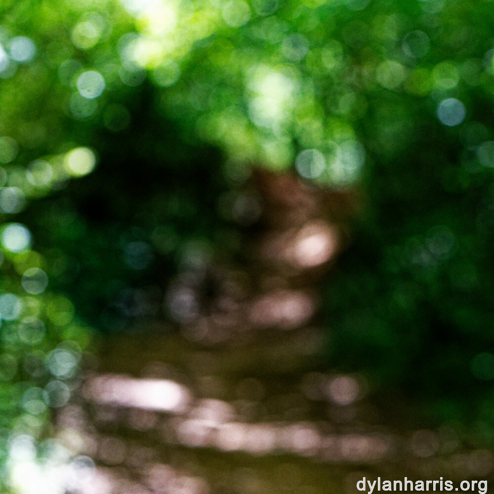 image: This is &lsquo;belvaux (vii) 4&rsquo;.