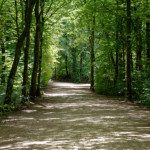 image: Image from the photoset &lsquo;belvaux (vii)&rsquo;.