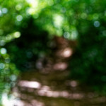 image: Image from the photoset &lsquo;belvaux (vii)&rsquo;.