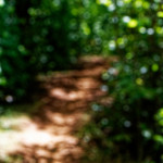 image: Image from the photoset &lsquo;belvaux (vii)&rsquo;.